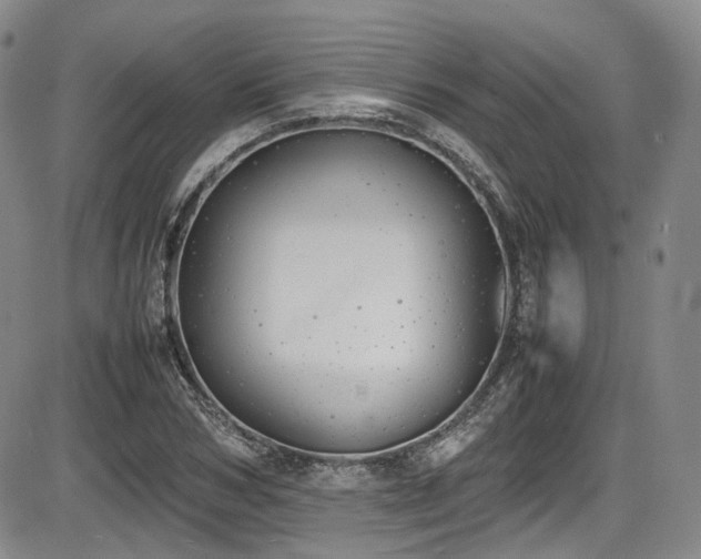 X0000086340978200703301251