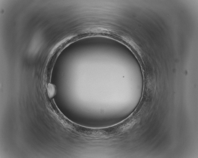 X0000086340979200703301251