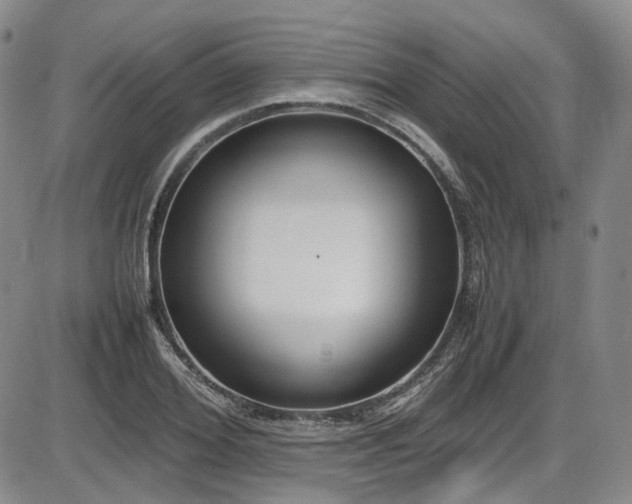 X0000086340980200703301251