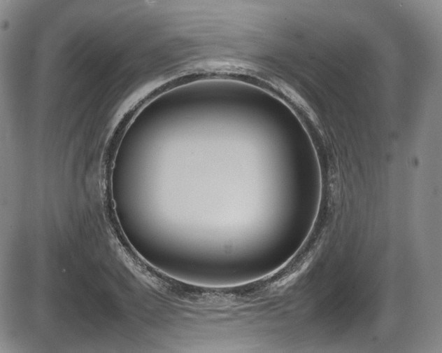 X0000086340981200703301251
