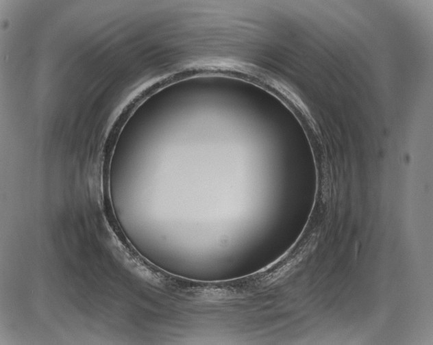 X0000086340984200703301251