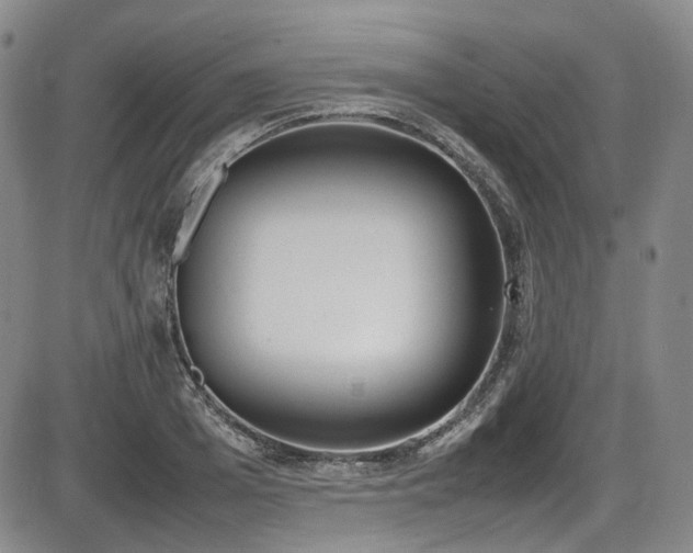 X0000086340985200703301251