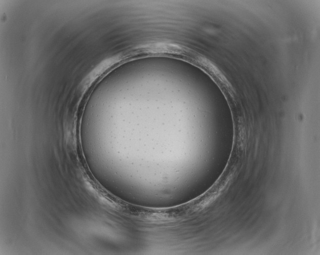 X0000086340986200703301251