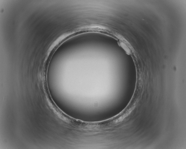 X0000086340989200703301251