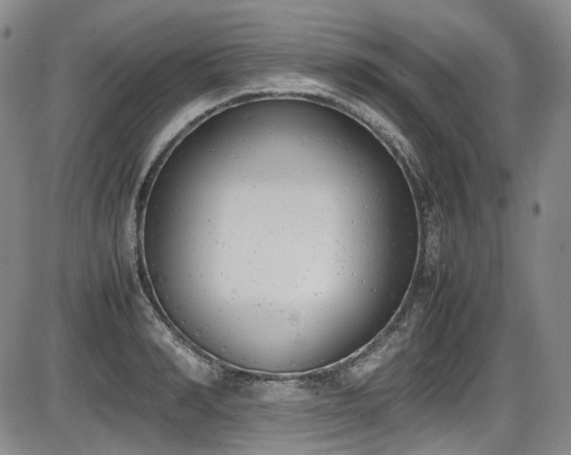 X0000086340990200703301251