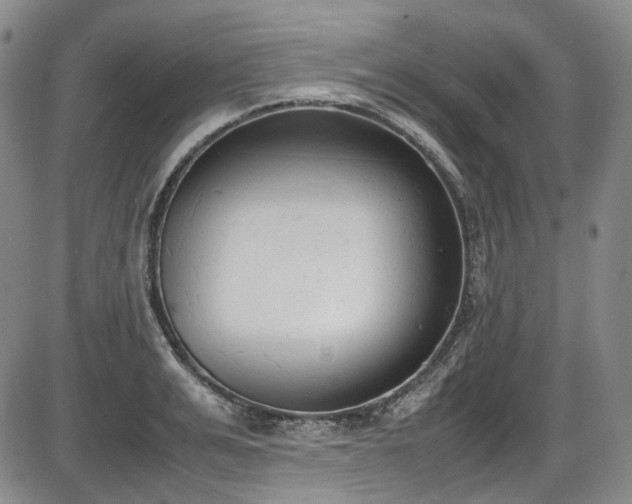 X0000086340991200703301251