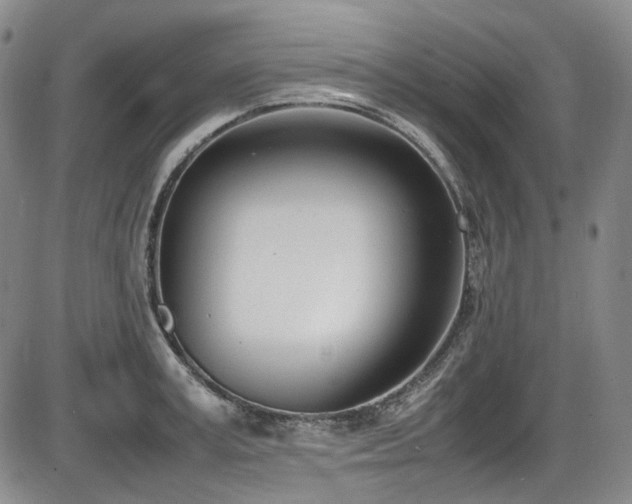 X0000086340995200703301251