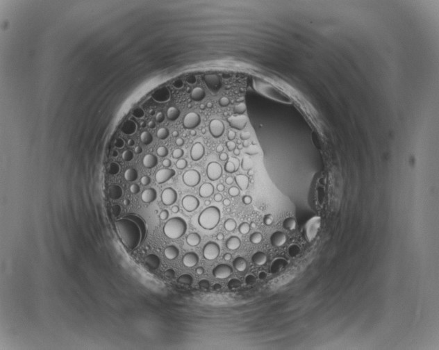 X0000086340998200703301251