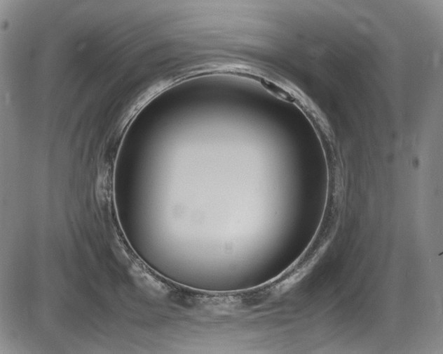 X0000086341001200703301251