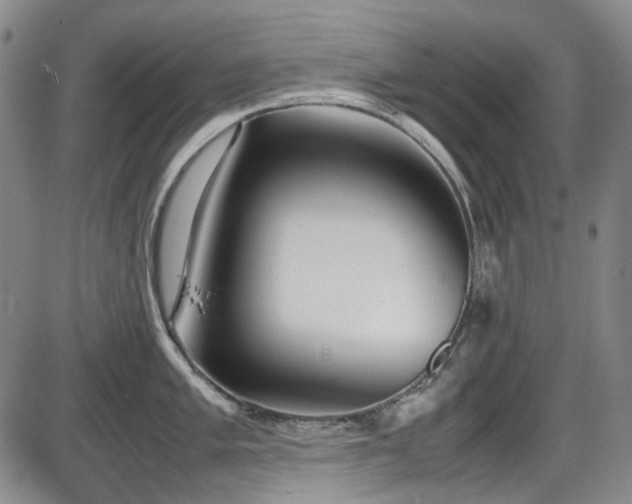 X0000086341005200703301251