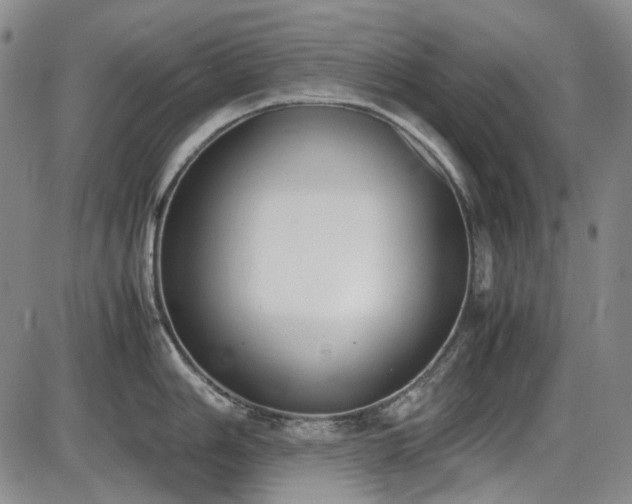 X0000086341006200703301251