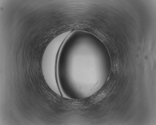 X0000086341010200703301250
