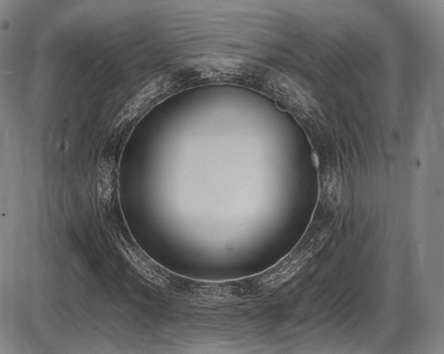 X0000086341012200703301250