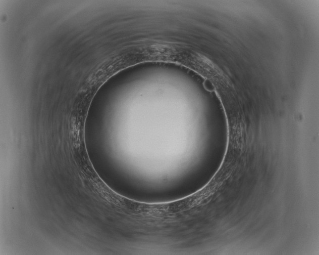 X0000086341013200703301250