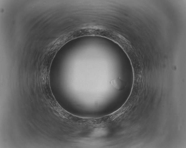 X0000086341014200703301250