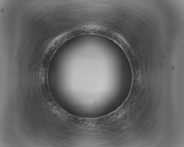 X0000086341016200703301250