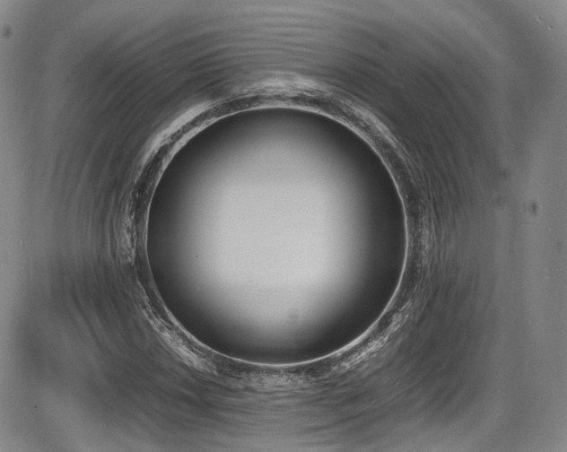 X0000086341018200703301250