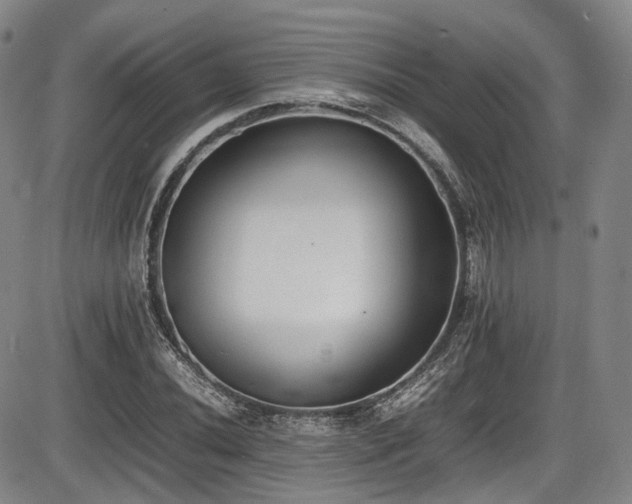 X0000086341020200703301250