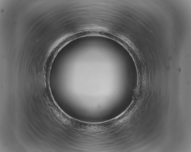 X0000086341022200703301250