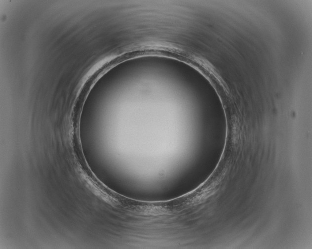X0000086341024200703301250