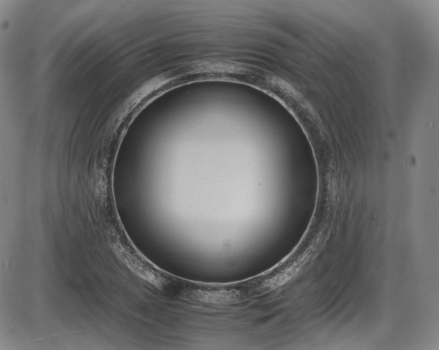 X0000086341025200703301250