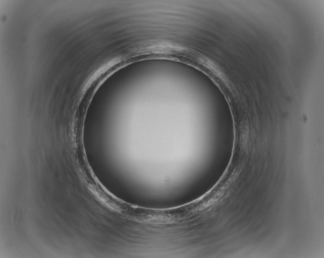 X0000086341026200703301250