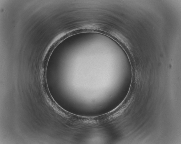 X0000086341029200703301250