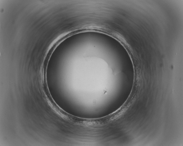 X0000086341032200703301250