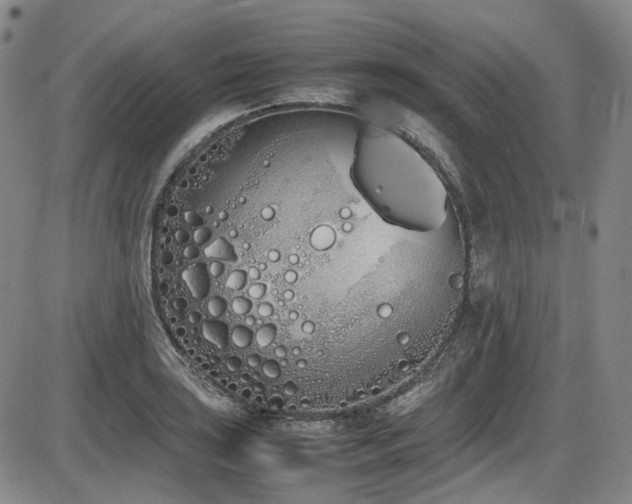 X0000086341035200703301250