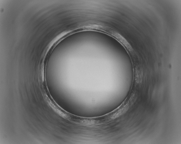 X0000086341036200703301250