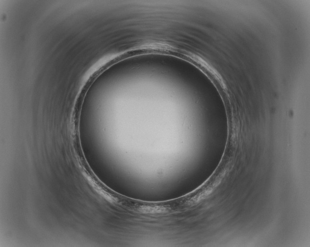 X0000086341037200703301250