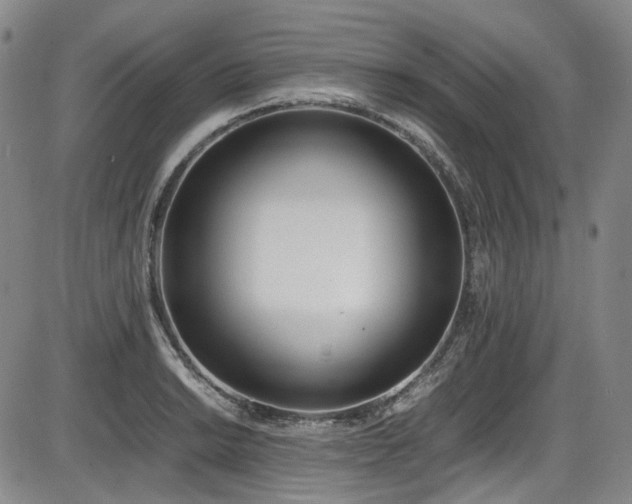 X0000086341038200703301250