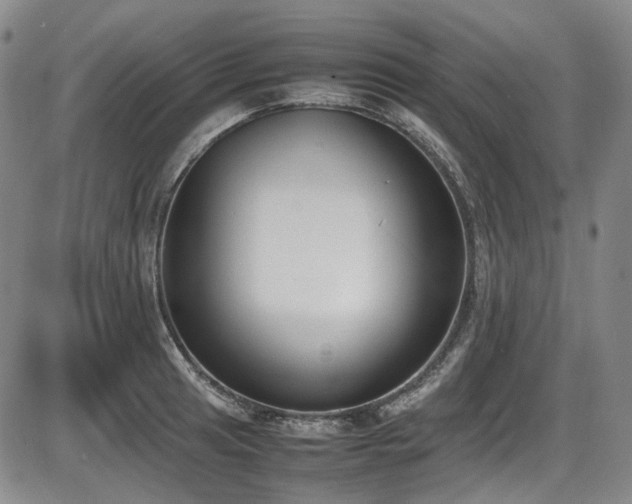 X0000086341041200703301250