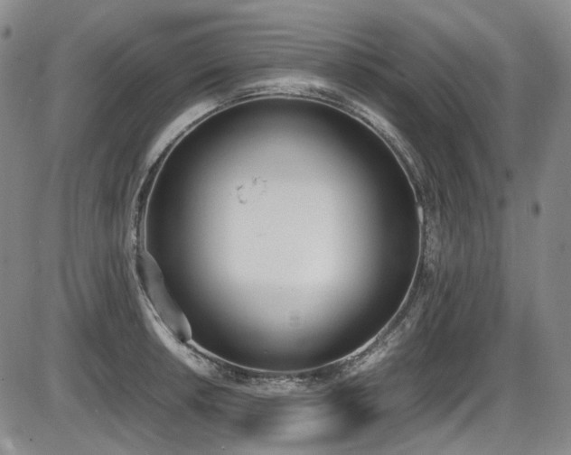 X0000086341042200703301250