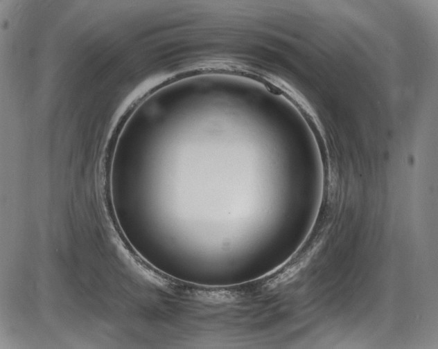 X0000086341045200703301250