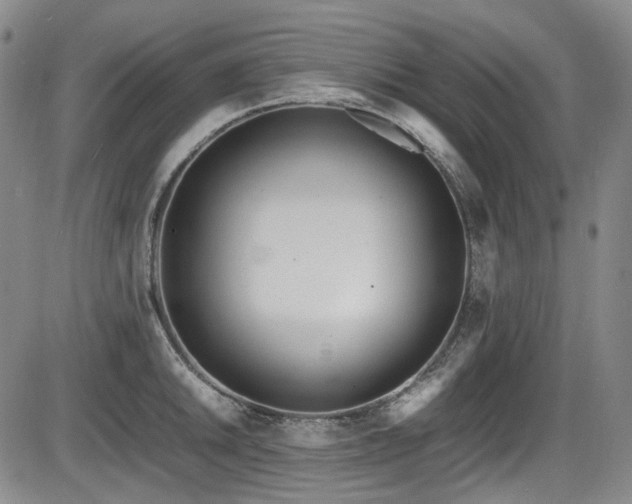 X0000086341046200703301250