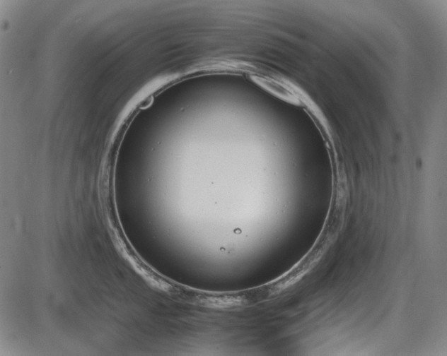 X0000086341053200703301251