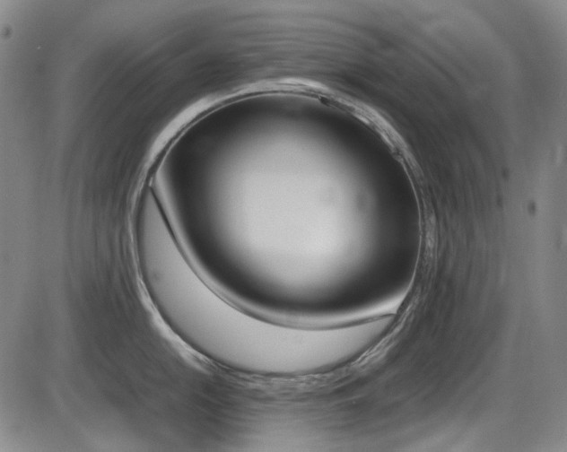 X0000086341054200703301251