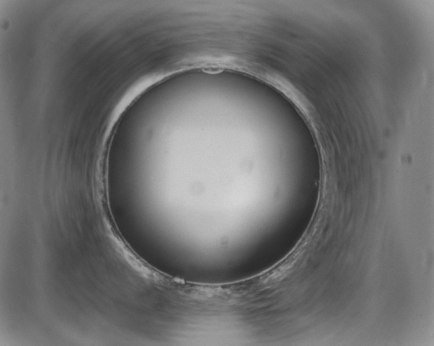 X0000086341056200703301251
