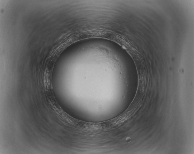 X0000086341058200703301250