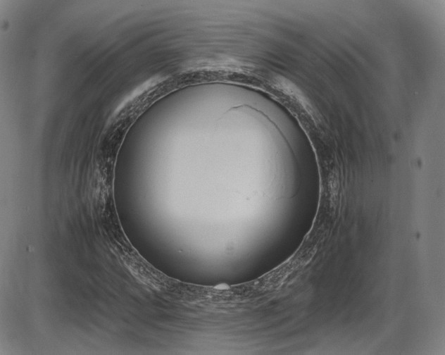 X0000086341064200703301250