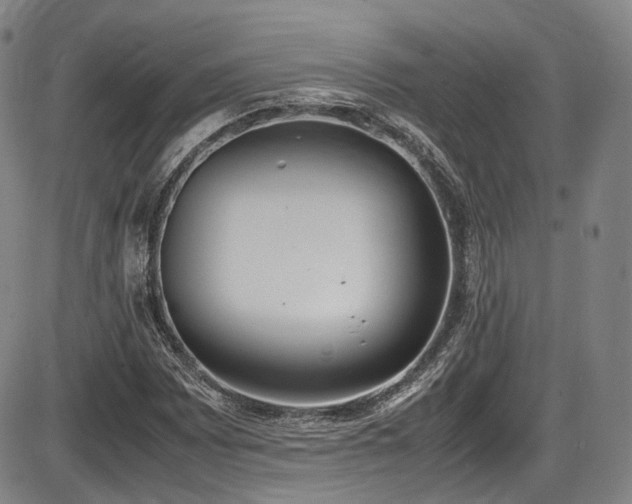 X0000086341065200703301250