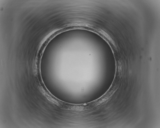 X0000086341068200703301250