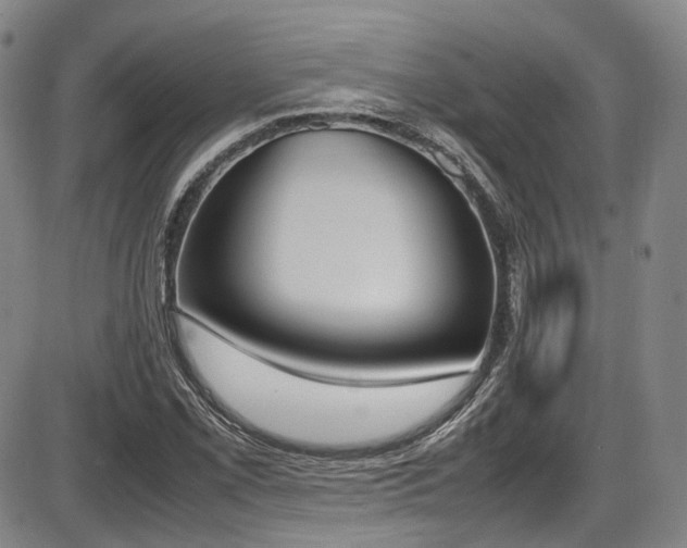 X0000086341069200703301250