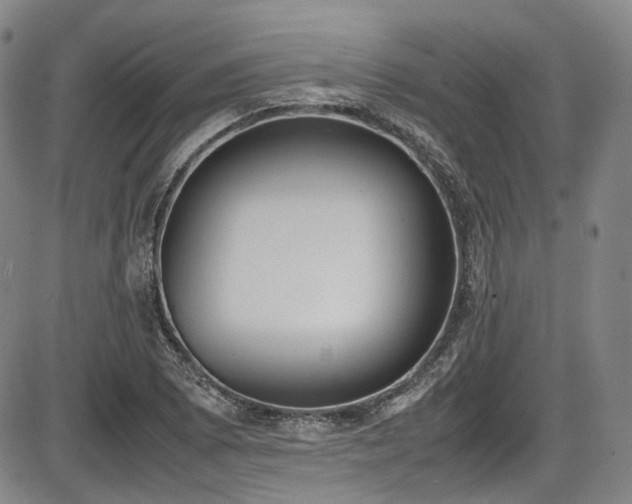 X0000086341073200703301250