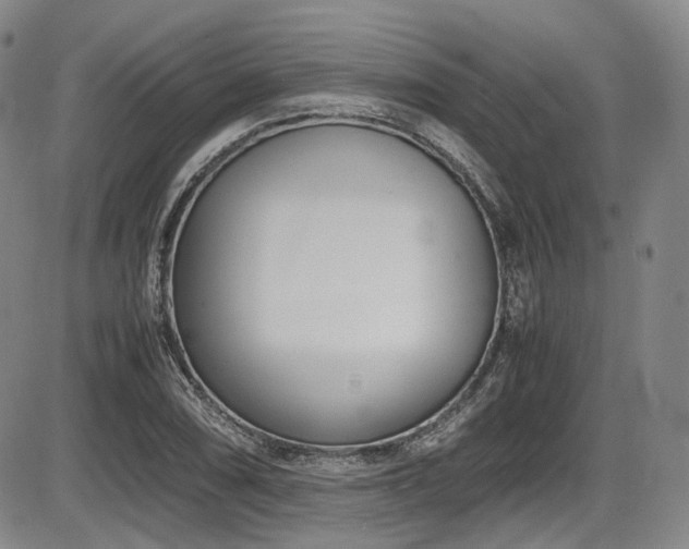 X0000086341074200703301249
