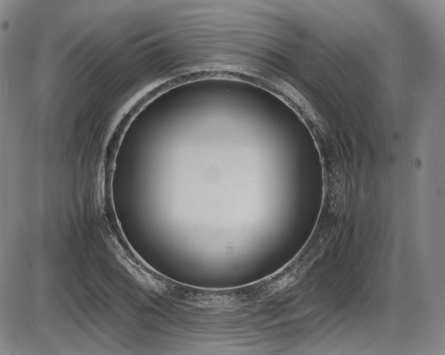 X0000086341076200703301249