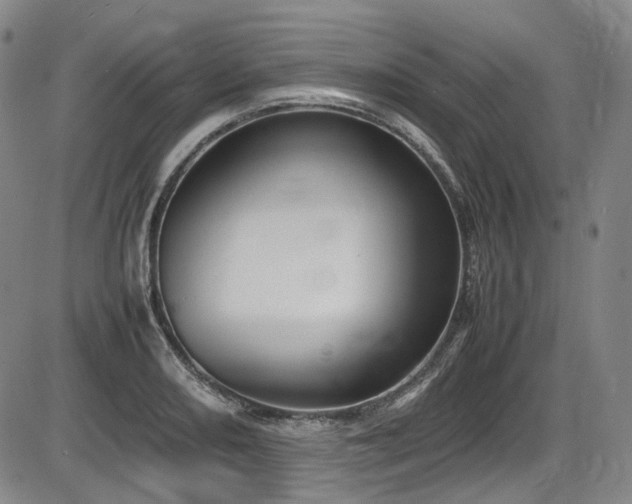 X0000086341082200703301249