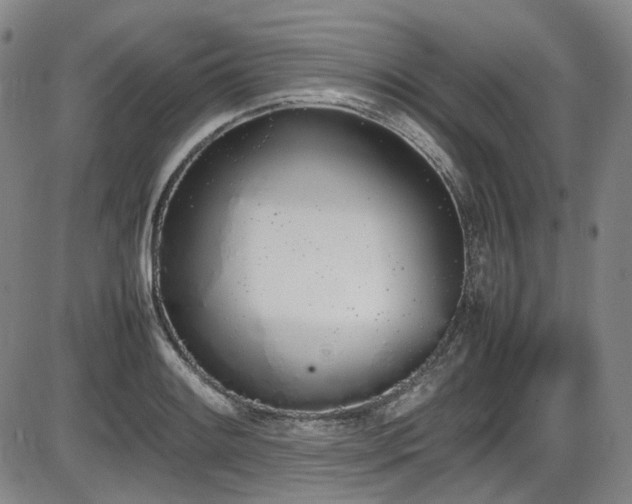 X0000086341084200703301249
