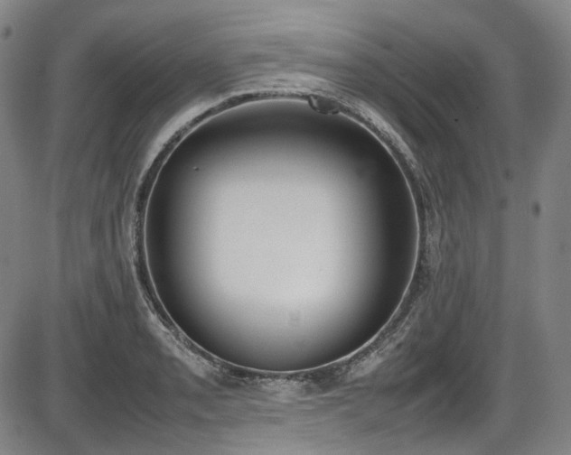 X0000086341085200703301249